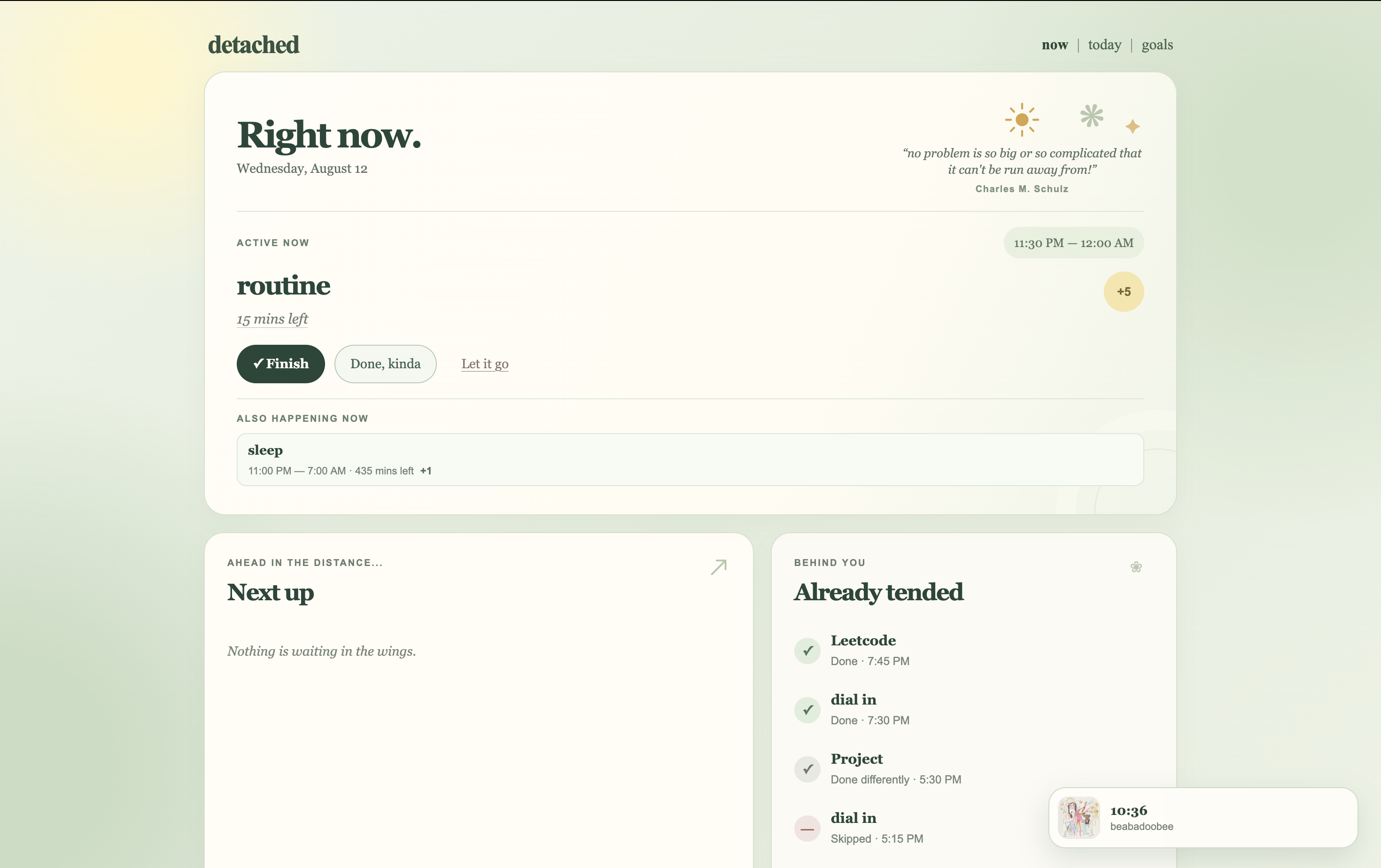 Detached daily overview screen
