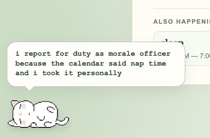 Detached app with Timbit the cat